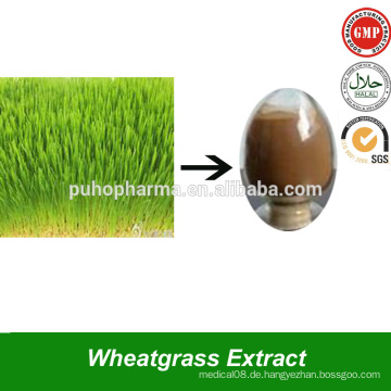 Geprüfter organischer Weizengras Saft Extrakt Pulver Auszug aus Weizengras